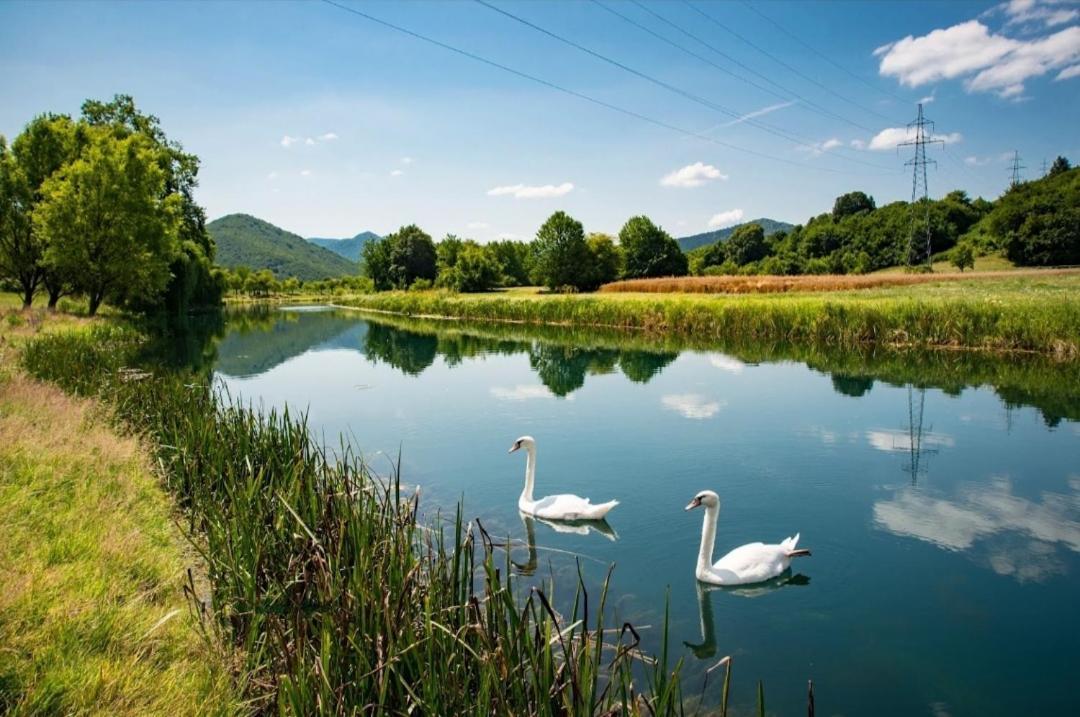 Apartman Swans Otočac Exterior foto