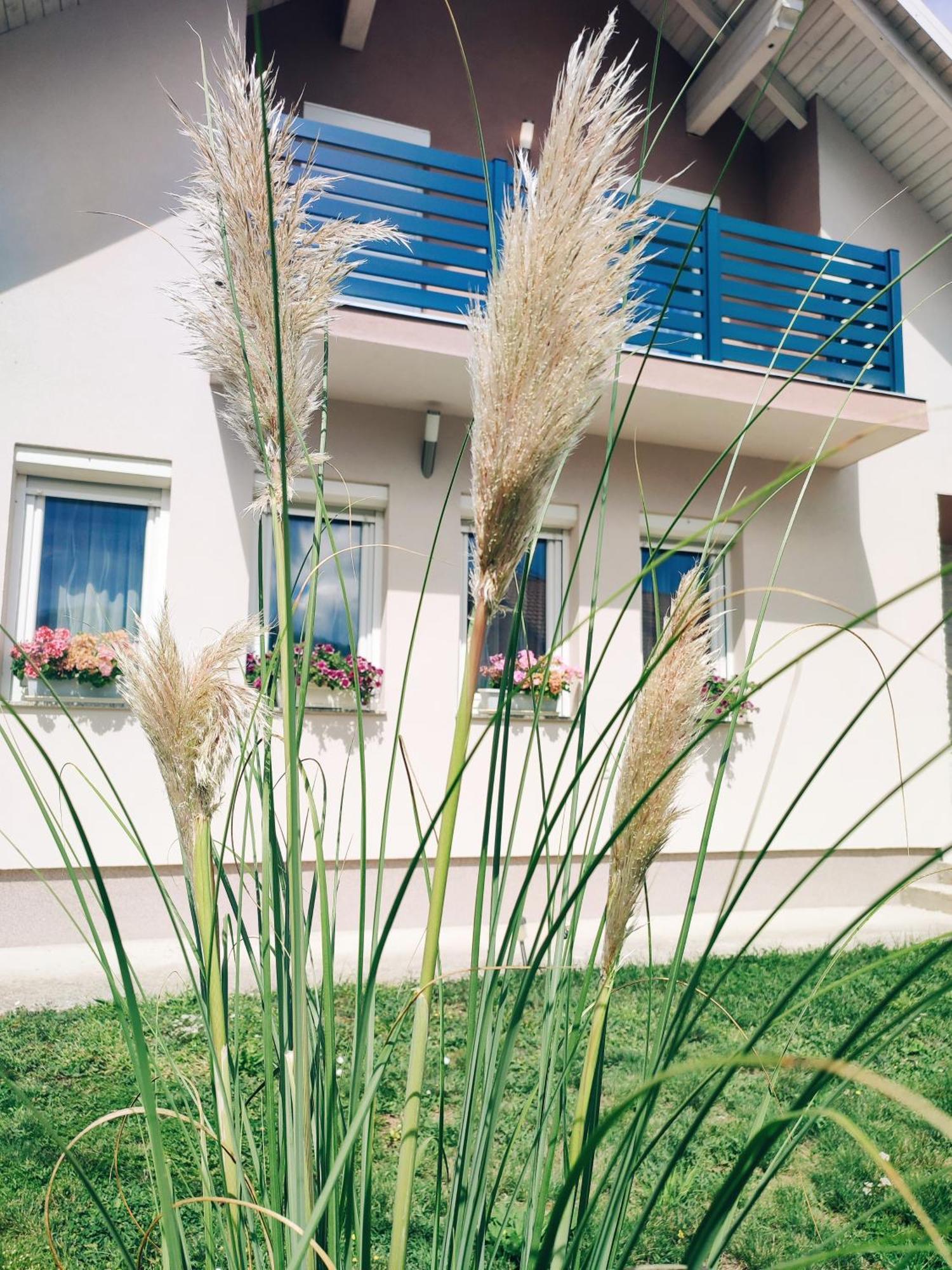Apartman Swans Otočac Exterior foto